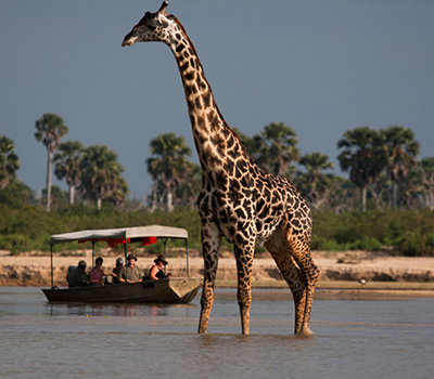 5 Days Wildlife Safari & Zanzibar