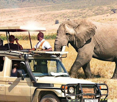 13 Days Wildlife Safari & Zanzibar