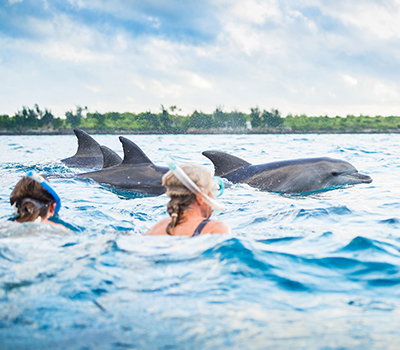 Kizimkazi Dolphin Tour