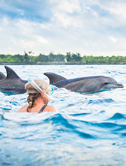 Kizimkazi Dolphin Tour