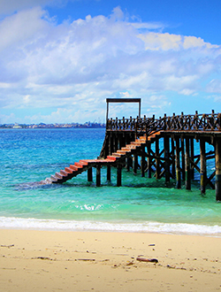 Prison Island Boat Tour