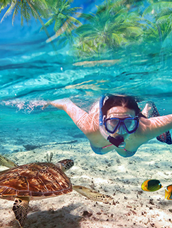 Snorkeling at Mnemba Atoll