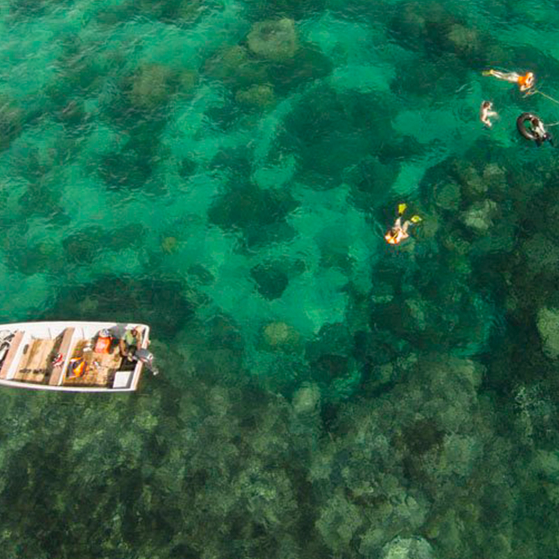 Chumbe Island Coral Tour