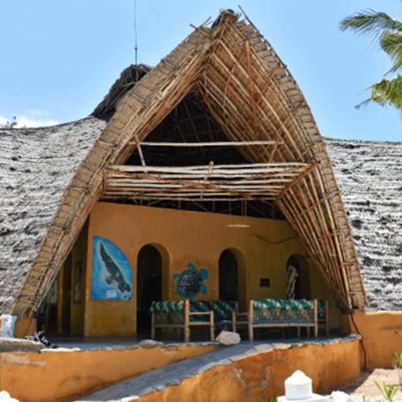 Chumbe Island Coral Tour