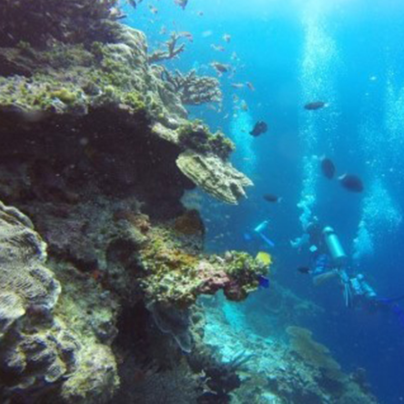 Chumbe Island Coral Tour