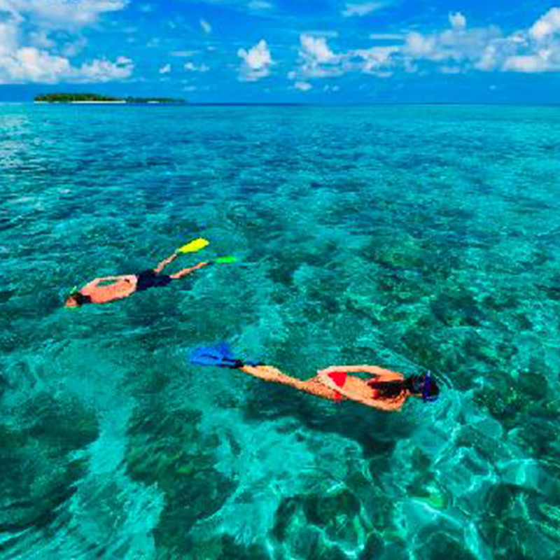 Chumbe Island Coral Tour