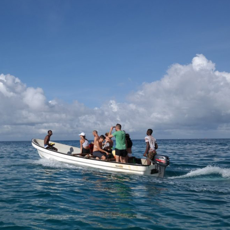 Kizimkazi Dolphin Tour