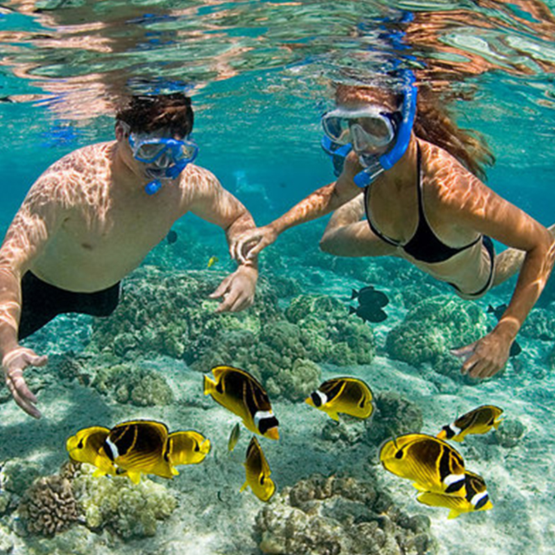 Snorkeling at Mnemba Atoll