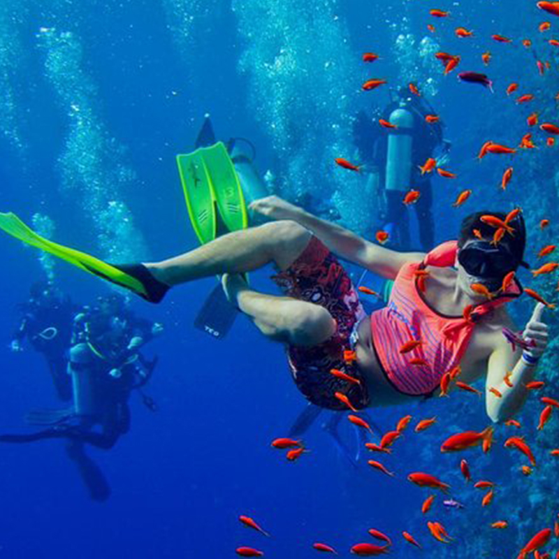 Snorkeling at Mnemba Atoll