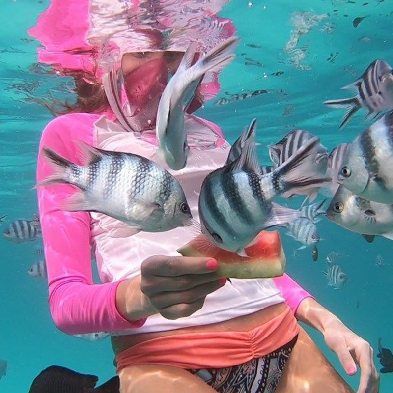 Snorkeling at Mnemba Atoll