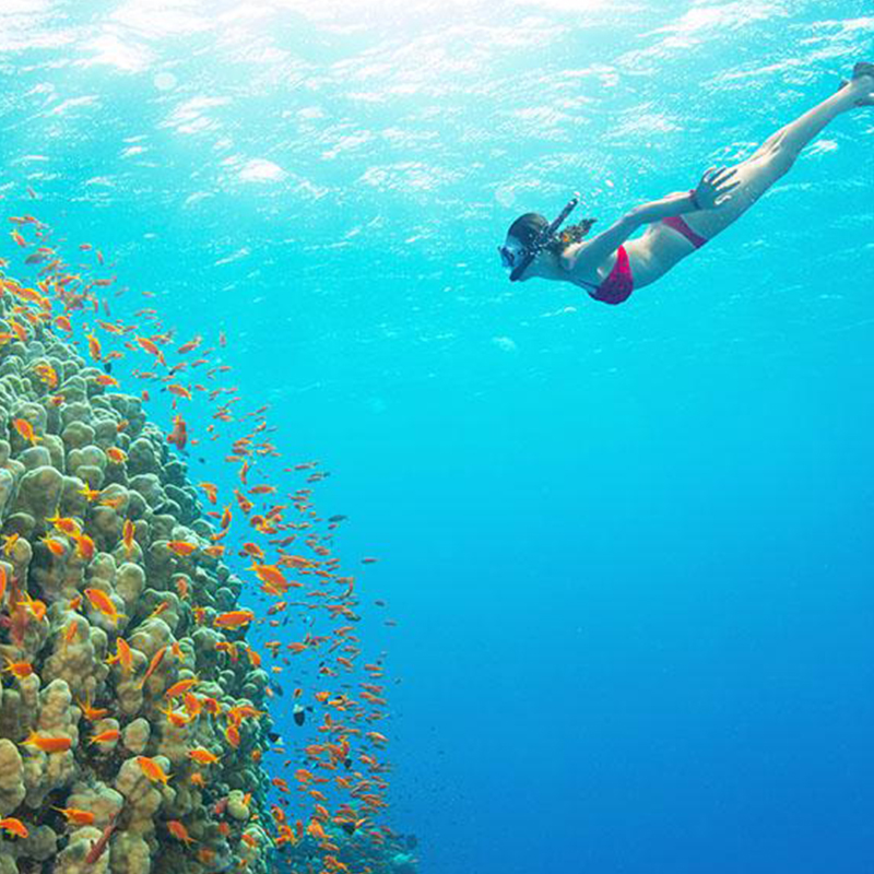 Snorkeling at Mnemba Atoll