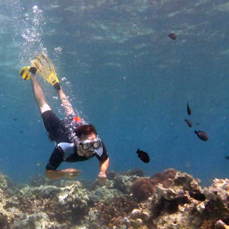 Snorkeling at Mnemba Atoll