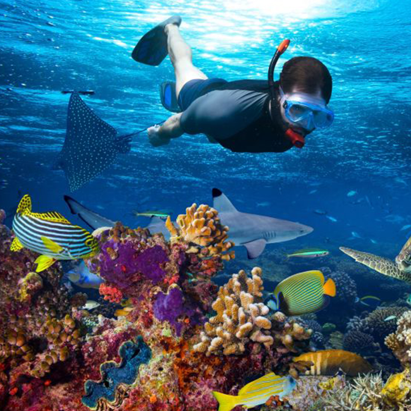 Snorkeling at Mnemba Atoll