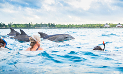 Kizimkazi Dolphin Tour