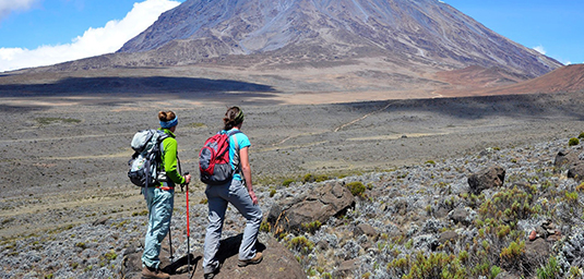 Mount Kilimanjaro & Beach Leisure