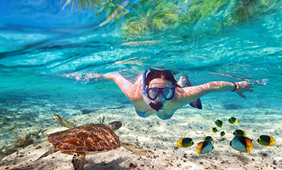 Snorkeling at Mnemba Atoll